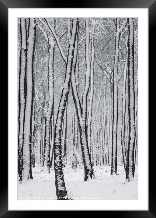 frosted  tree trunks Framed Mounted Print by Simon Johnson