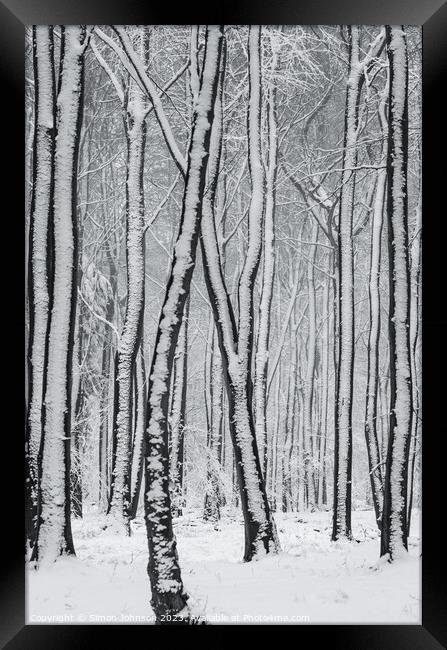 frosted  tree trunks Framed Print by Simon Johnson