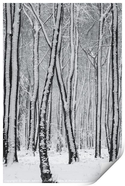 frosted  tree trunks Print by Simon Johnson