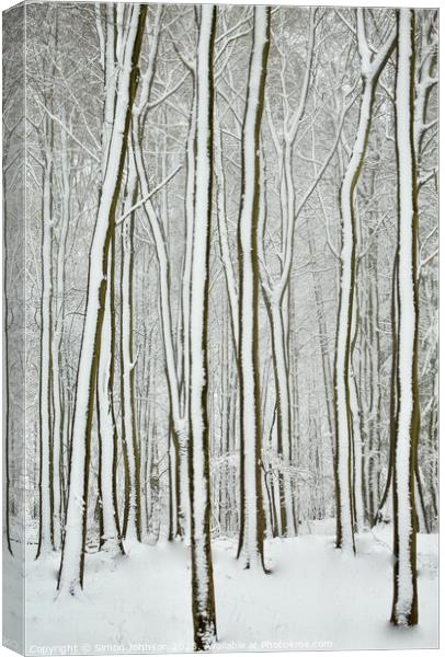 winter tree trunks  Canvas Print by Simon Johnson