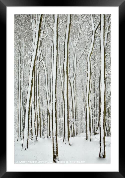 winter tree trunks  Framed Mounted Print by Simon Johnson