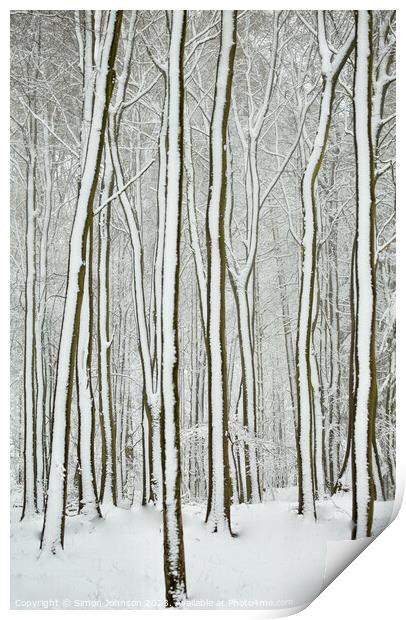 winter tree trunks  Print by Simon Johnson