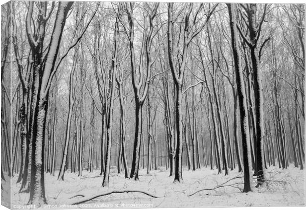Winter Woodland  Canvas Print by Simon Johnson