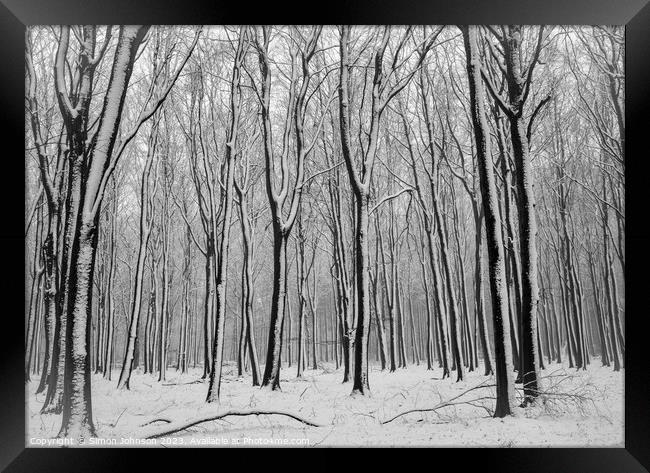 Winter Woodland  Framed Print by Simon Johnson