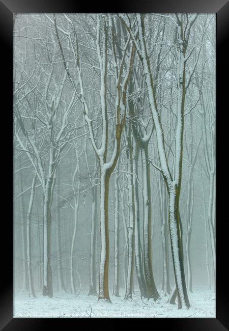 Winter woodland  Framed Print by Simon Johnson