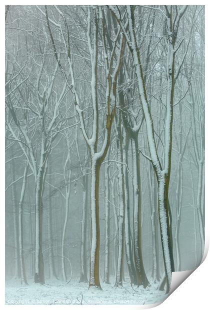 Winter woodland  Print by Simon Johnson