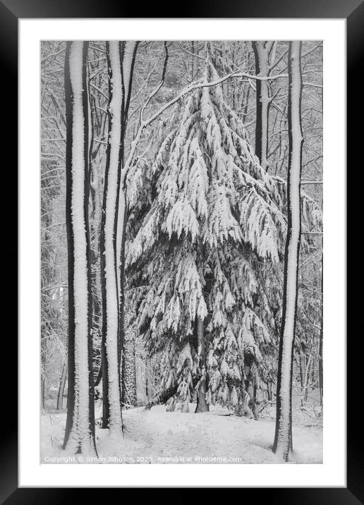 Snowy, frosted trees Framed Mounted Print by Simon Johnson
