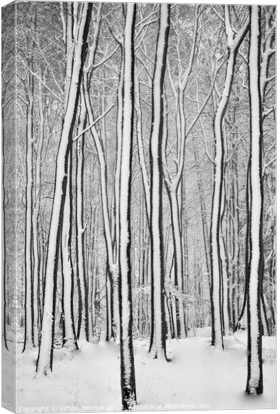 woodland Patterns  Canvas Print by Simon Johnson