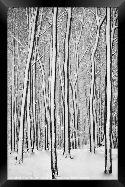 woodland Patterns  Framed Print by Simon Johnson