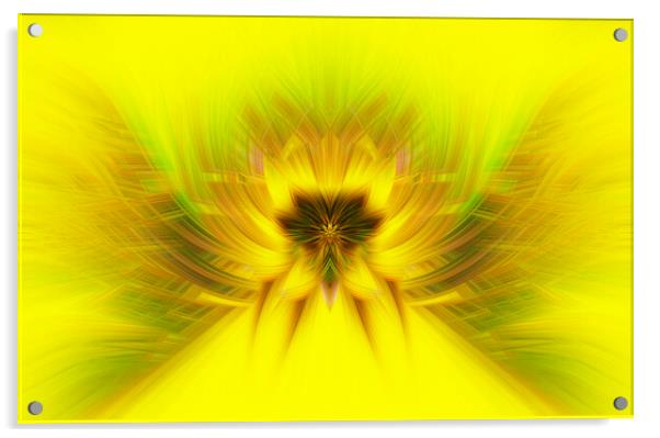 Symmetrical Abstract Twirl Art Effect Acrylic by Antonio Ribeiro