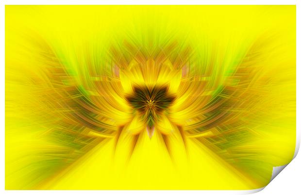Symmetrical Abstract Twirl Art Effect Print by Antonio Ribeiro