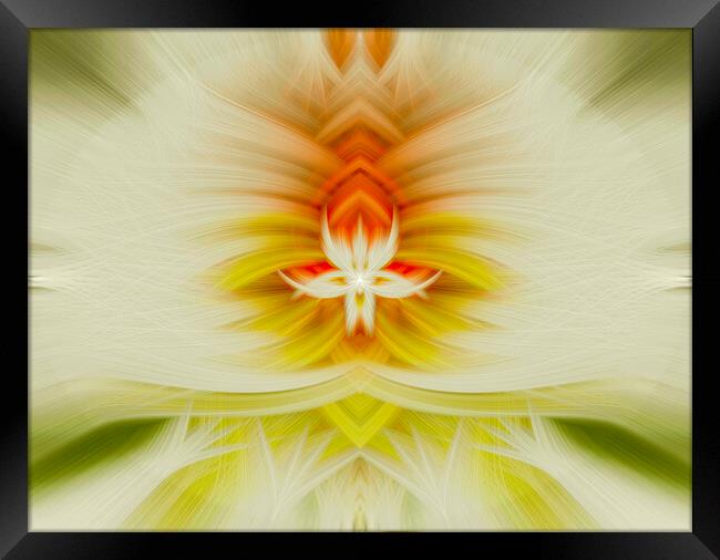 Symmetrical Abstract Twirl Art Effect Framed Print by Antonio Ribeiro