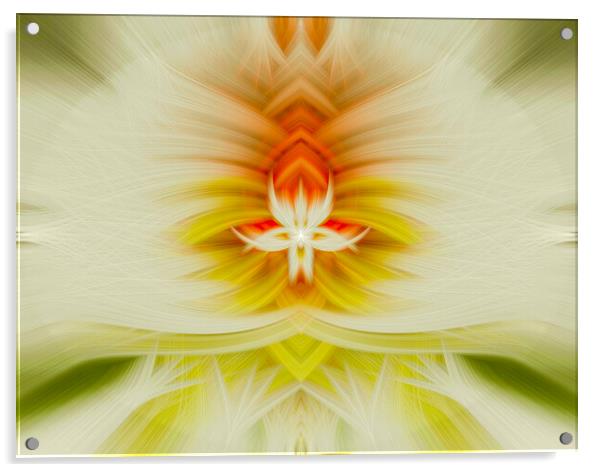 Symmetrical Abstract Twirl Art Effect Acrylic by Antonio Ribeiro