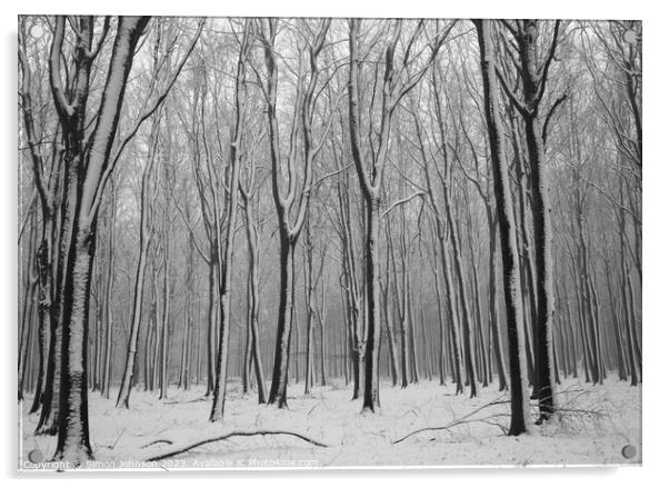 woodland Snow  Acrylic by Simon Johnson
