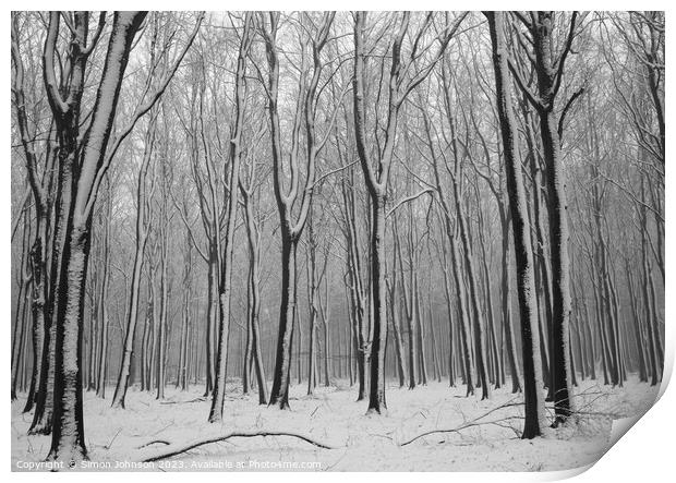woodland Snow  Print by Simon Johnson