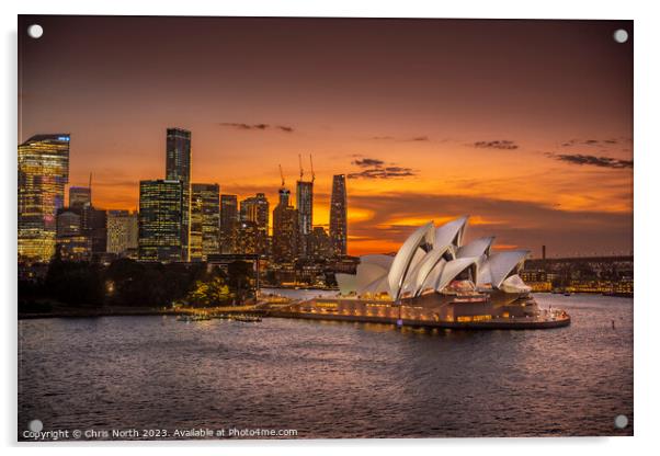  Sydney Harbour sunset and Sydney Opera House Acrylic by Chris North