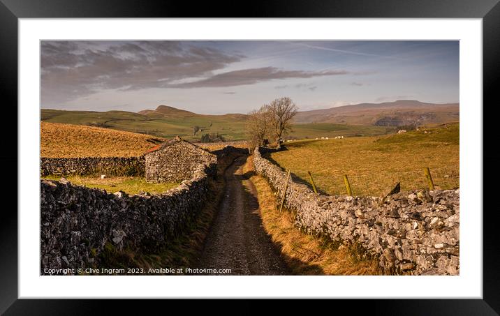 Serene Yorkshire Dales Landscape Framed Mounted Print by Clive Ingram