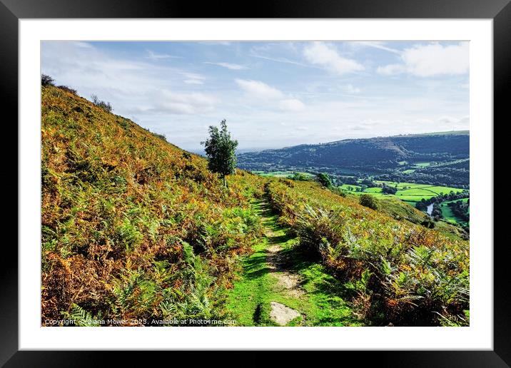 Vale of Llangollen from the Hills Framed Mounted Print by Diana Mower