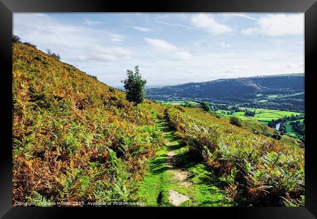 Vale of Llangollen from the Hills Framed Print by Diana Mower