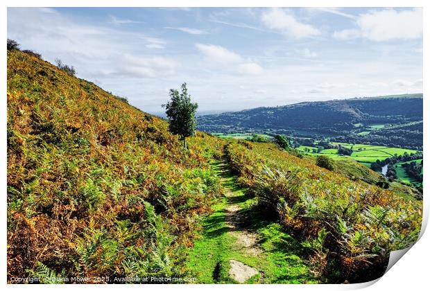 Vale of Llangollen from the Hills Print by Diana Mower