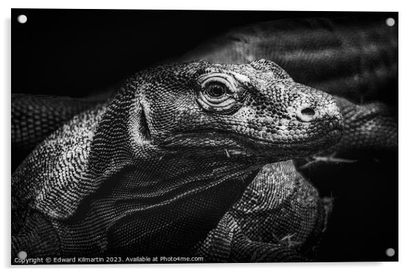 Komodo Dragon Acrylic by Edward Kilmartin