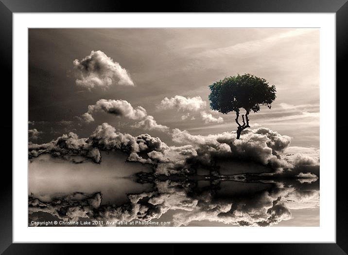 Daydream Framed Mounted Print by Christine Lake