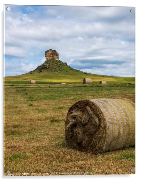 Hay harvest below Surrender Hill Acrylic by Adrian Turnbull-Kemp