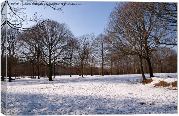 Abbots Wood in Snow Canvas Print by Sally Wallis