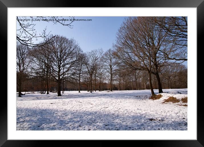 Abbots Wood in Snow Framed Mounted Print by Sally Wallis