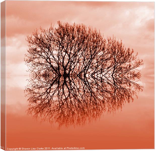 Reflected Tree Canvas Print by Sharon Lisa Clarke
