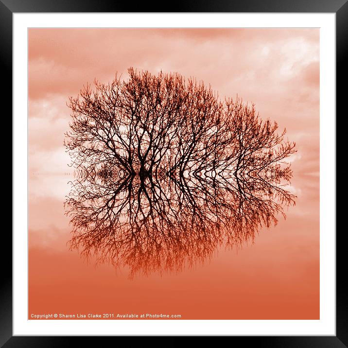 Reflected Tree Framed Mounted Print by Sharon Lisa Clarke