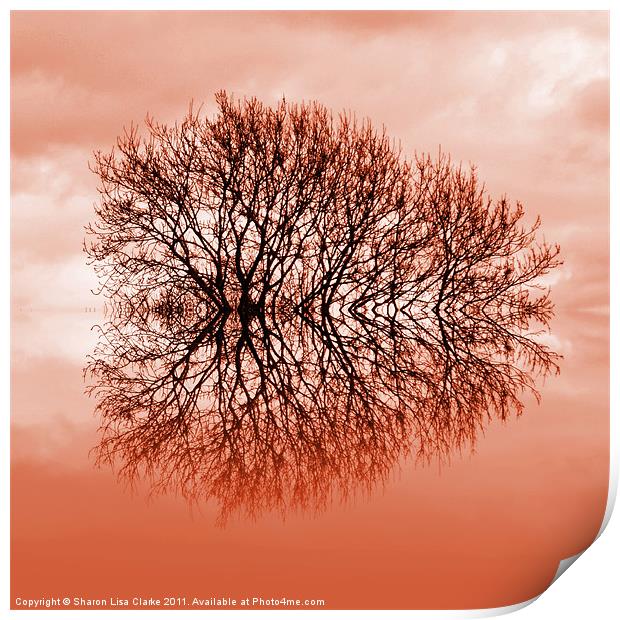 Reflected Tree Print by Sharon Lisa Clarke