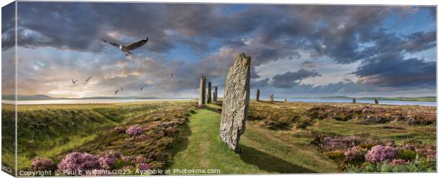 View of the Enigmatic Neolithic Stone Circle of Brodgar, Orkney Canvas Print by Paul E Williams