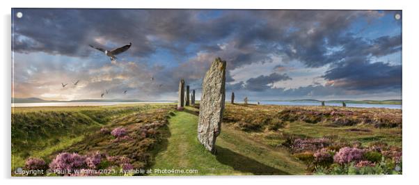 View of the Enigmatic Neolithic Stone Circle of Brodgar, Orkney Acrylic by Paul E Williams