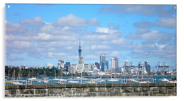 Auckland across the harbour Acrylic by Mandy Rice