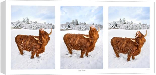 Loving the snow, A photographic triptych Canvas Print by JC studios LRPS ARPS