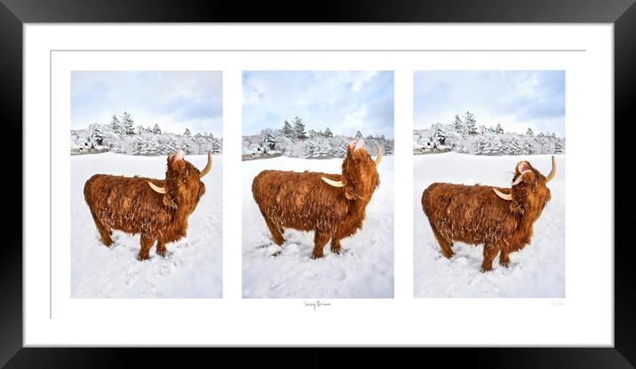 Loving the snow, A photographic triptych Framed Mounted Print by JC studios LRPS ARPS