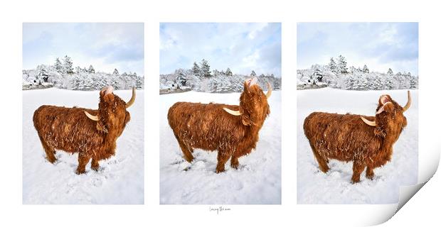 Loving the snow, A photographic triptych Print by JC studios LRPS ARPS