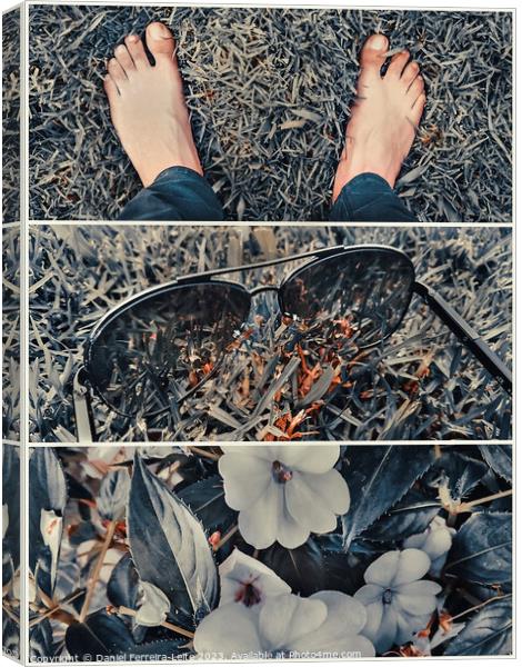 Bare feet, sunglasses and flowers on the grass collage Canvas Print by Daniel Ferreira-Leite