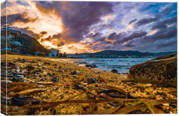 Oriental Bay Sunset Canvas Print by Paul Pepper