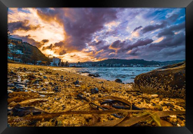 Oriental Bay Sunset Framed Print by Paul Pepper