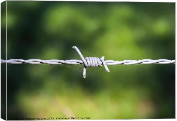 Barbed wire on with a soft focus bokeh in the background. Canvas Print by Michael Piepgras