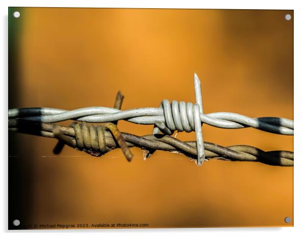 Barbed wire on with a soft focus bokeh in the background. Acrylic by Michael Piepgras
