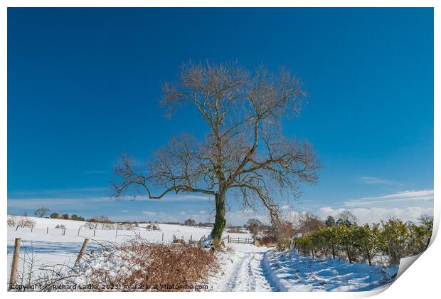 Park Lane, Hutton Magna, Teesdale in Snow Print by Richard Laidler