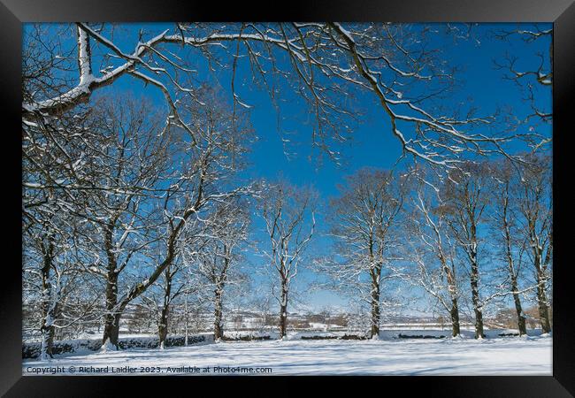 Winter Trees at Hutton Magna Framed Print by Richard Laidler