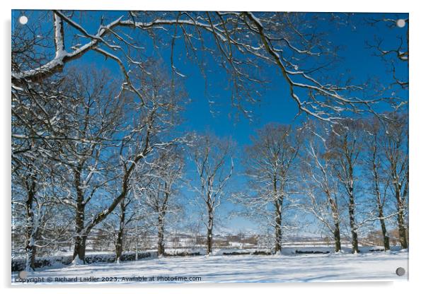 Winter Trees at Hutton Magna Acrylic by Richard Laidler