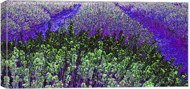 Funky Lavender Canvas Print by James Ward