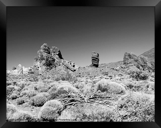 Mt Tiede Framed Print by allen martin