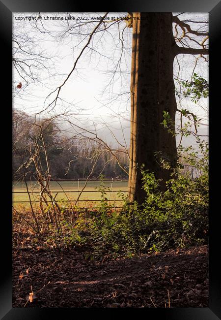 Walking In Nature 2 Framed Print by Christine Lake