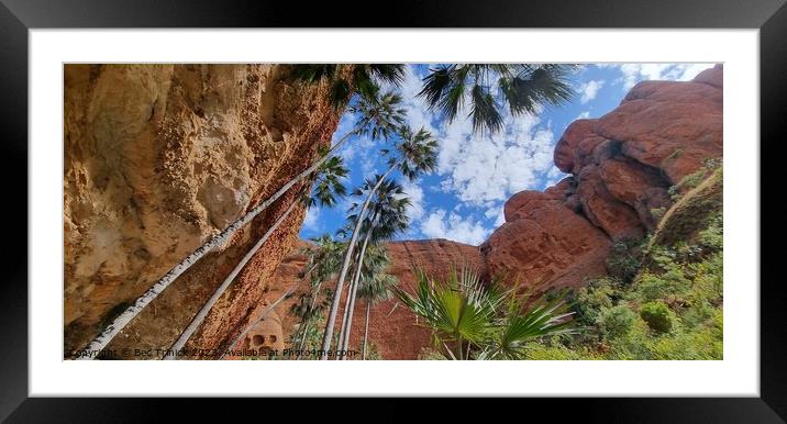 Echidna Chasm Framed Mounted Print by Bec Trinick